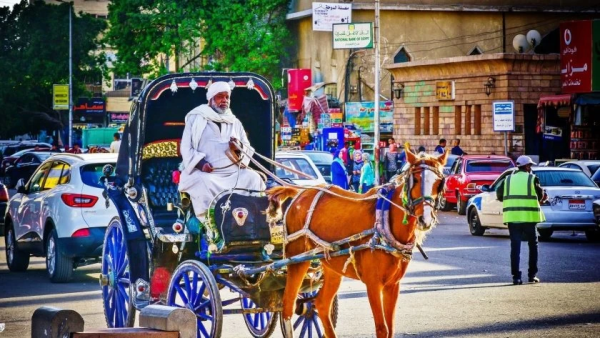 Aswan city tour by Horse carriage