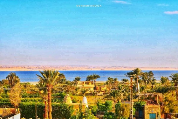 Over day Fayoum